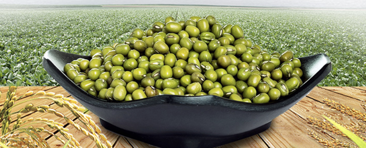 綠豆真空包裝 綠豆真空包裝